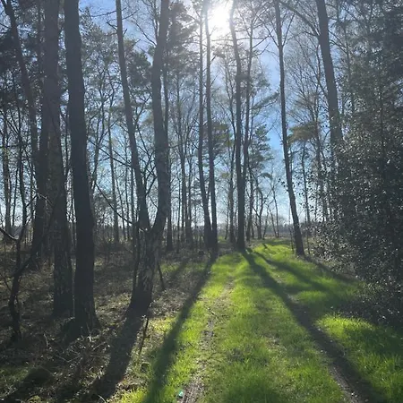 Land-Zeit, wohlfühlen im stilvollem Studio mit Sauna&großen Garten Kirchlinteln