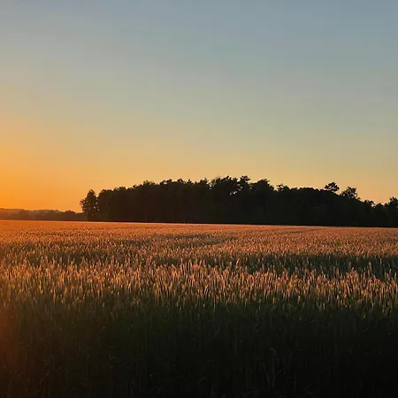 Land-Zeit, wohlfühlen im stilvollem Studio mit Sauna&großen Garten
